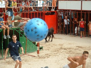 voetbal met stieren.